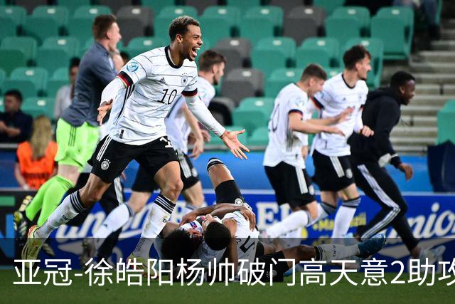 亚冠-徐皓阳杨帅破门高天意2助攻 申花2-1淡滨尼流浪者